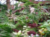 Plants-00